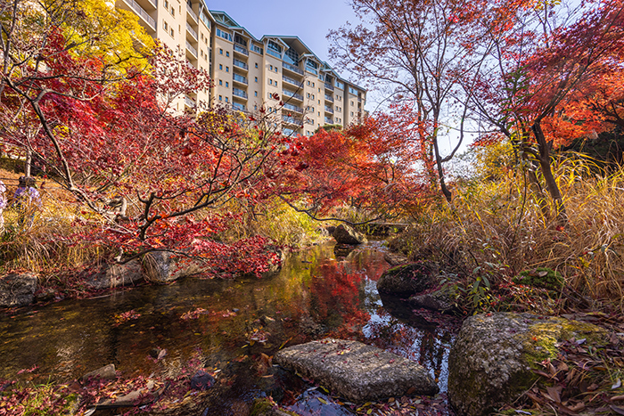 다채로운 가을빛이 아름다운 생태하천