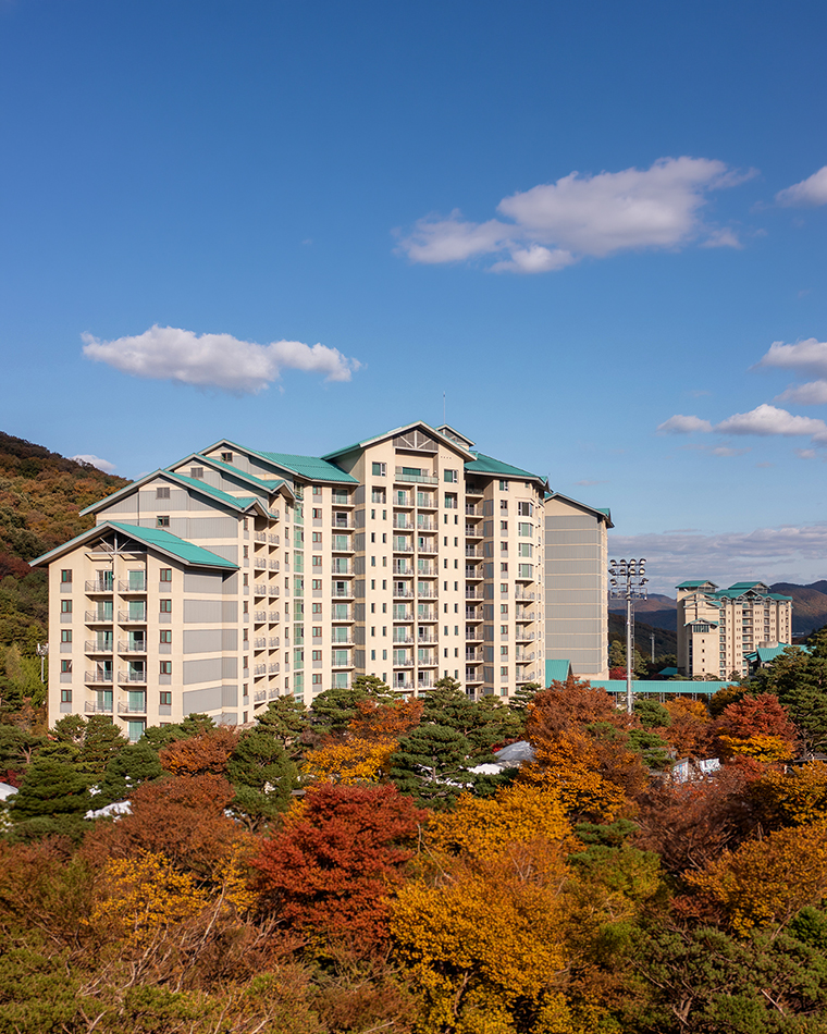 곤지암리조트 전경1