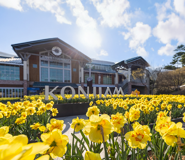 곤지암리조트 풍경 이미지1