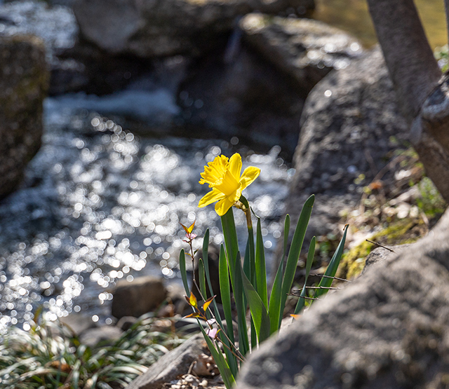 곤지암리조트 풍경 이미지2