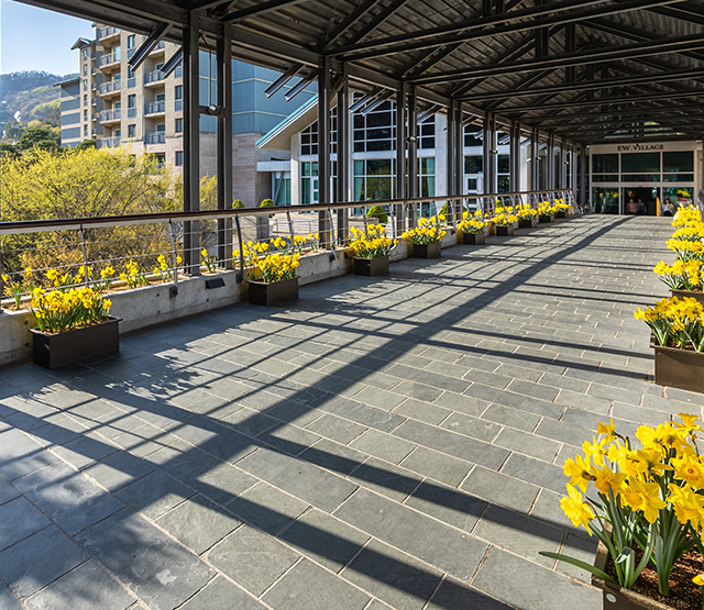 곤지암리조트 풍경 이미지3