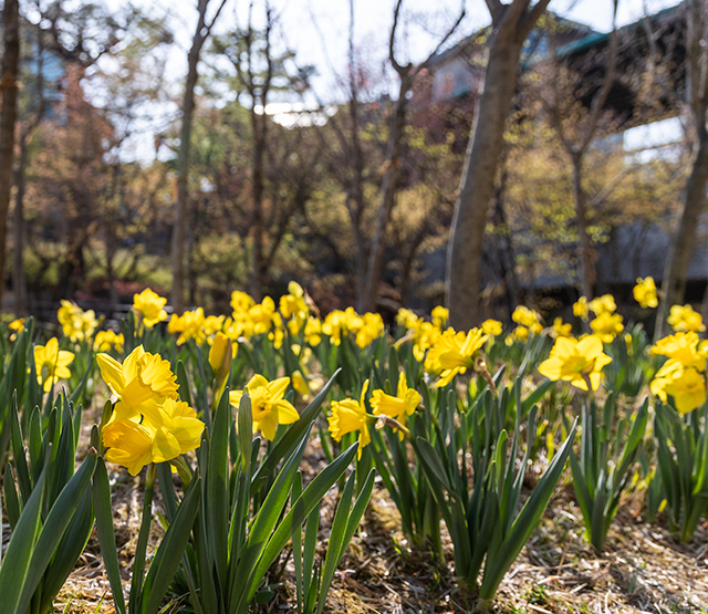 곤지암리조트 풍경 이미지4