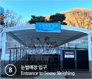 ⑧눈썰매장 입구 Entrance to Snow Sleighing 031-8026-5020